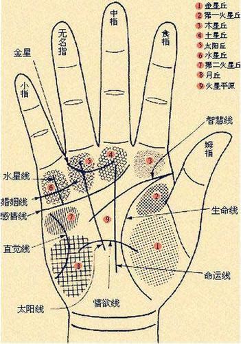 男手相分析|手相解析大全